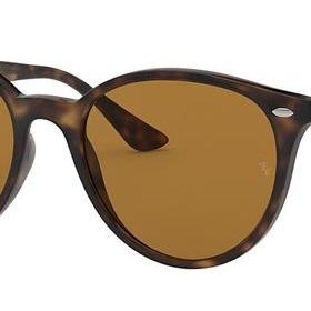 Ray-Ban RB4305 710/83 53 Unisex Güneş Gözlüğü
