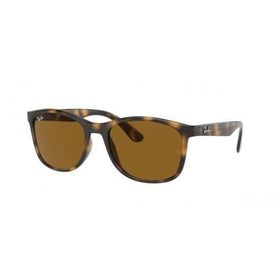 Ray-Ban RB4374710/33 Erkek Güneş Gözlüğü