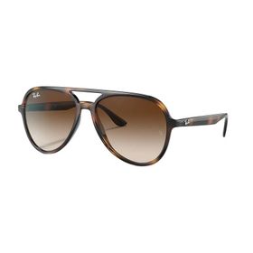 Ray-Ban RB4376 710/13 Unisex Güneş Gözlüğü