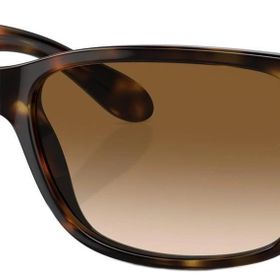 Ray-Ban RB4388 710/51 58 Unisex Güneş Gözlüğü