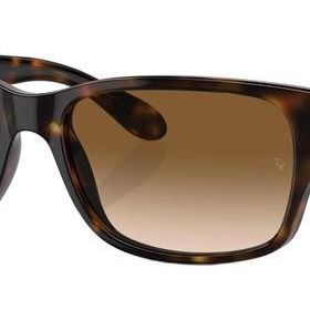 Ray-Ban RB4388 710/51 58 Unisex Güneş Gözlüğü
