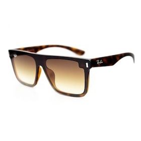 Ray-Ban RB4391 N 710.13 55.15 Unisex Güneş Gözlüğü
