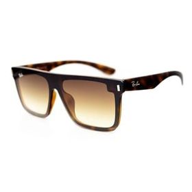 Ray-Ban RB4391 N 710.13 55.15 Unisex Güneş Gözlüğü