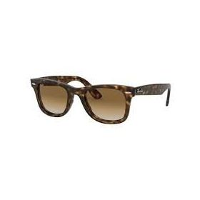 Ray-Ban RB4392 710 13 66.17 Unisex Güneş Gözlüğü