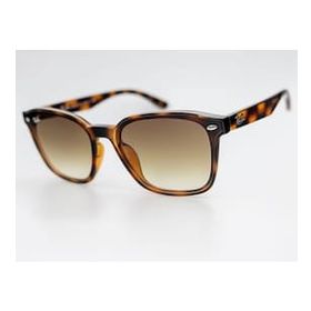 Ray-Ban RB4392 710 13 66.17 Unisex Güneş Gözlüğü