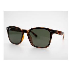 Ray-Ban RB4392 710 71 66.17 Unisex Güneş Gözlüğü