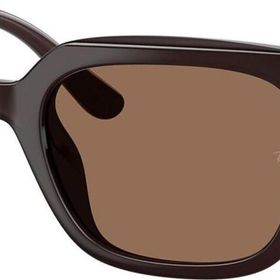 Ray-Ban RB4439D 6231/73 54 Unisex Güneş Gözlüğü