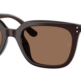 Ray-Ban RB4439D 6231/73 54 Unisex Güneş Gözlüğü
