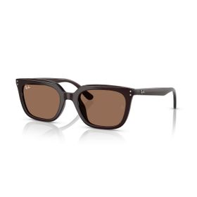 Ray-Ban RB4439D 6231/73 54 Unisex Güneş Gözlüğü