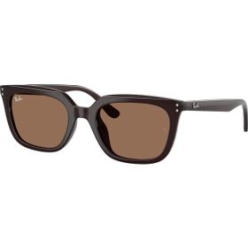 Ray-Ban RB4439D 6231/73 54 Unisex Güneş Gözlüğü
