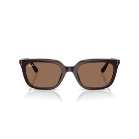 Ray-Ban RB4439D 6231/73 54 Unisex Güneş Gözlüğü