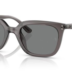 Ray-Ban RB4439D 667587 54 Unisex Güneş Gözlüğü