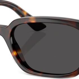 Ray-Ban RB4456 135987 50 Unisex Güneş Gözlüğü