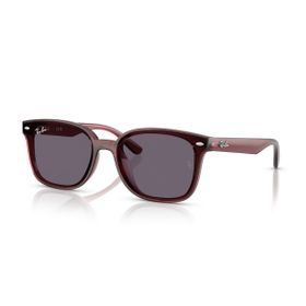 Ray-Ban RB4461D 710 13 64 Unisex Güneş Gözlüğü