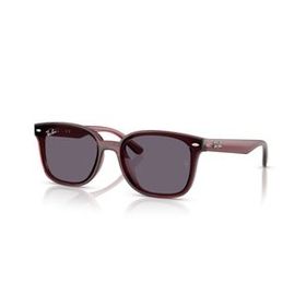 Ray-Ban RB4461D 710 13 64 Unisex Güneş Gözlüğü