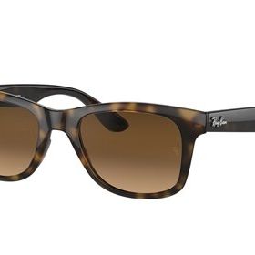 Ray-Ban RB4640 710/M2 50 Polarize Unisex Güneş Gözlüğü