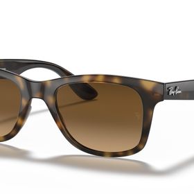 Ray-Ban RB4640 710/M2 50 Polarize Unisex Güneş Gözlüğü