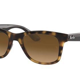 Ray-Ban RB4640 710/M2 50 Polarize Unisex Güneş Gözlüğü