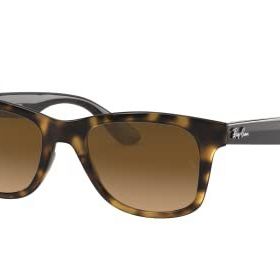 Ray-Ban RB4640 710/M2 50 Polarize Unisex Güneş Gözlüğü