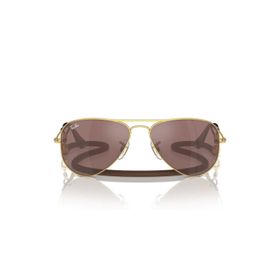 Ray-Ban RJ9506S 223/6G 52 Unisex Güneş Gözlüğü