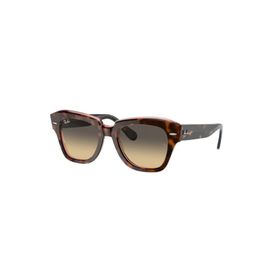 Ray-Ban State Street RB 2186 1324/BG Unisex Güneş Gözlüğü