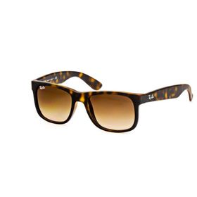 Rayban RB41657101351 Erkek Güneş gözlüğü