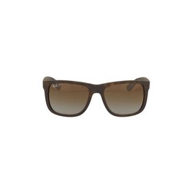 Rayban RB4165865-T555 Erkek Güneş Gözlüğü