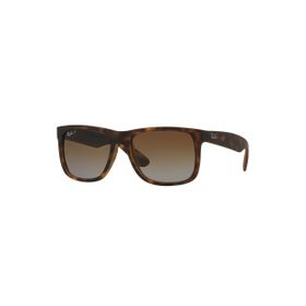 Rayban RB4165865-T555 Erkek Güneş Gözlüğü