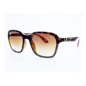 Rayban RB4343M F603/13 52-20 Unisex Güneş Gözlüğü