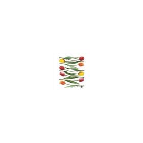 Rayher 5586921 Lale 7106500 Duvar Sticker