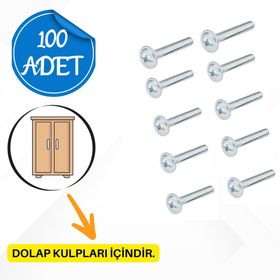 Raymobaks 4x22 Metrik Kulp Vidası