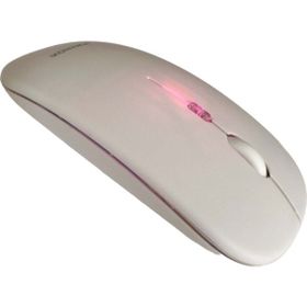 Raynox RX-M208 Siyah Kablosuz Mouse