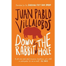 Reaching Down the Rabbit Hole: Extraordinary Journeys into the Human Brain