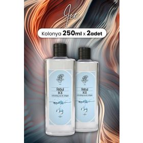 Rebul 2x250 ml Ice Kolonya