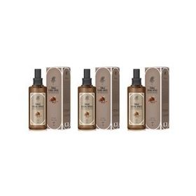 Rebul 3x100 ml Dark Spice Kolonyası Sprey Cam Şişe