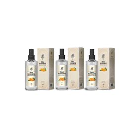 Rebul 3x100 ml Limon Kolonyası