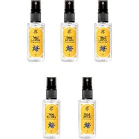 Rebul 5x50 ml Lavanta Kolonyası