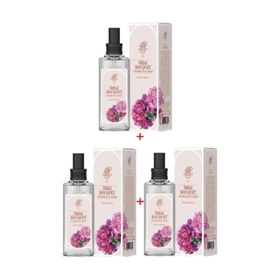 Rebul Bouquet Şakayık Buketi 3x100 ml Cam Kolonya