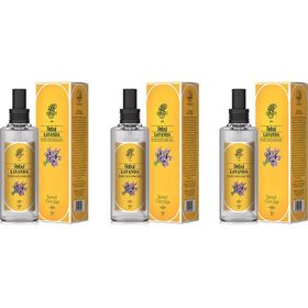 Rebul Lavanda 100 ml 3'lü Set Sprey Kolonya