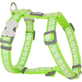 Reddingo Fosforlu Ziggy Lime 20 mm Köpek Göğüs Tasması