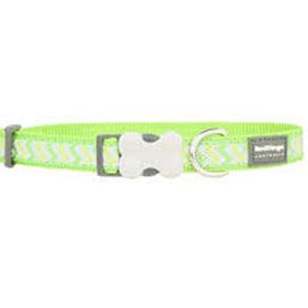 Reddingo Fosforlu Ziggy Lime 20 mm Köpek Tasması