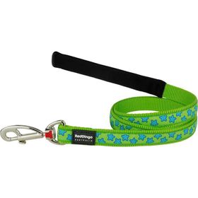 Reddingo Lime Üzerine Turkuaz Yıldızlı 20 Mm Uzatma Köpek Tasması