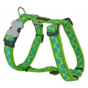 Reddingo Lime Üzerine Turkuaz Yıldızlı Boyun 25 mm Köpek Tasması