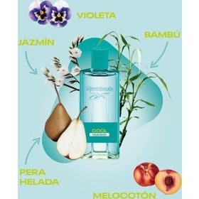 Reebok Cool Your Body EDT 100 ml Kadın Parfümü