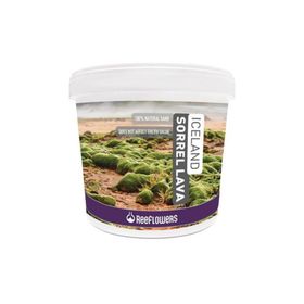 Reeflowers 1-3 mm 15 kg Iceland Sorrel Lava Bitki Kumu