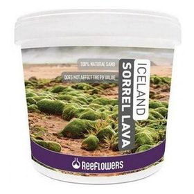 Reeflowers 1-3 mm 15 kg Iceland Sorrel Lava Bitki Kumu