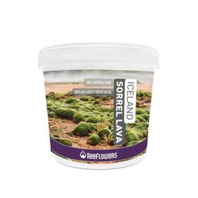 Reeflowers 1-3 mm 4 kg Iceland Sorrel Lava