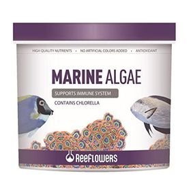 Reeflowers 1 lt Marine Algae Tuzlu Su Balık Yemi