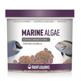 Reeflowers 1 lt Marine Algae Tuzlu Su Balık Yemi