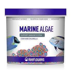 Reeflowers 1 lt Marine Algae Tuzlu Su Balık Yemi